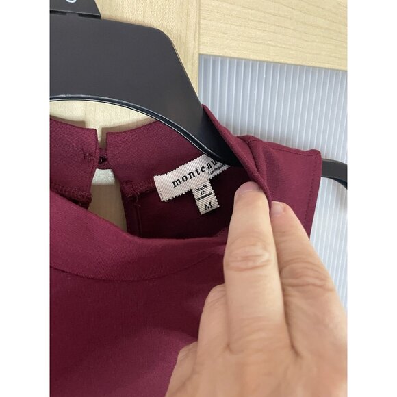 Monteau Anthropologie dress Sz M Burgundy Fall Skater Casual party Work School - Picture 3 of 3